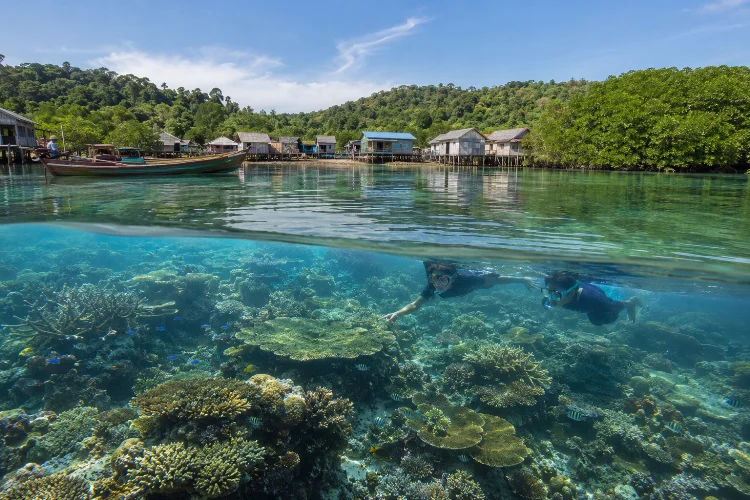 Terumbu Karang Pengudang dan Daya Tarik Wisata Bahari